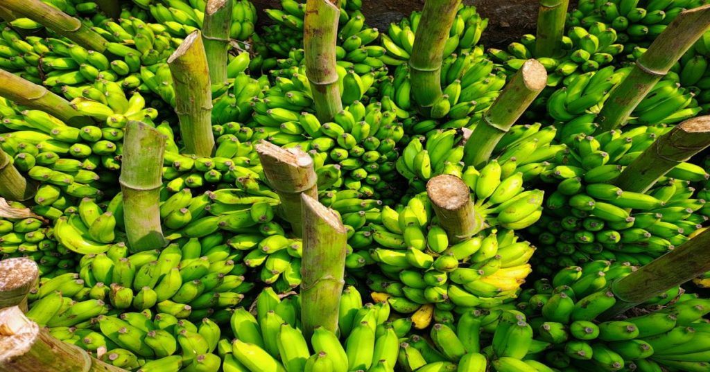 Nano Banana AI Integration for WordPress Stores