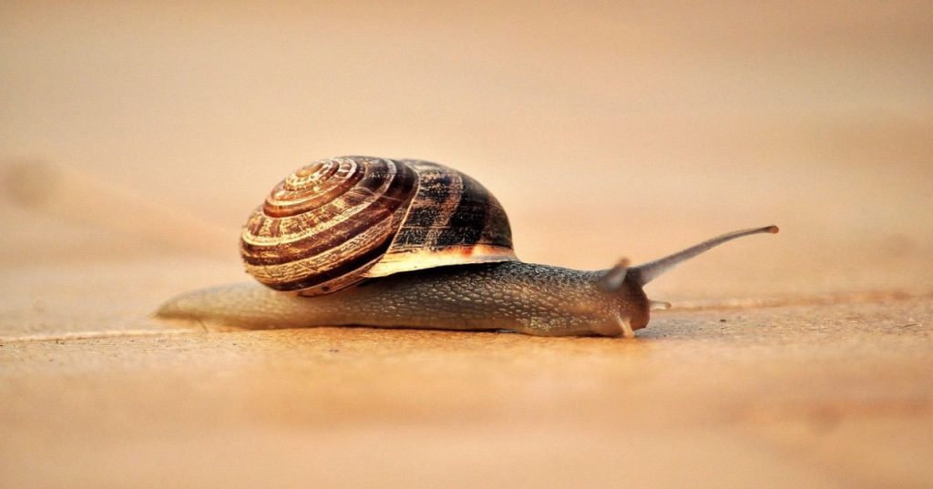 Aprenda a otimizar o rastreamento diário de KPIs e relatórios na sua loja Shopify. Descubra ferramentas nativas e apps para tomar decisões data-driven e impulsionar suas vendas.