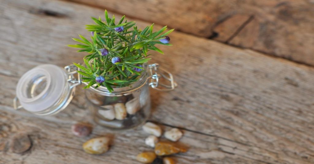 Explore como a Inteligência Artificial e Python podem revolucionar a criação de duetos musicais, do processamento vocal à geração de harmonias. Automatize e inove sua produção musical com soluções de IA.