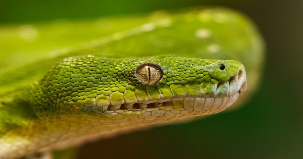 Aprenda como construir um pipeline em Python com Inteligência Artificial para automatizar a extração de dados e análise de relatórios complexos.