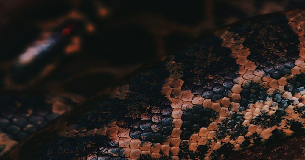 Aprenda a otimizar o processamento de dados da sua empresa. Descubra como criar pipelines de IA com Python utilizando Pandas e modelos de NLP.