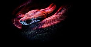 Aprenda a estruturar um pipeline em Python para transformar dados brutos de RH em um dashboard automatizado com KPIs de People Analytics em tempo real.