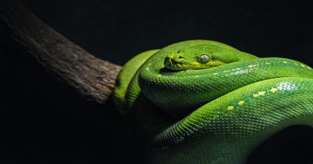 Aprenda a automatizar a análise de dados escolares entre turmas e disciplinas usando Python e Pandas para extrair insights precisos de desempenho.