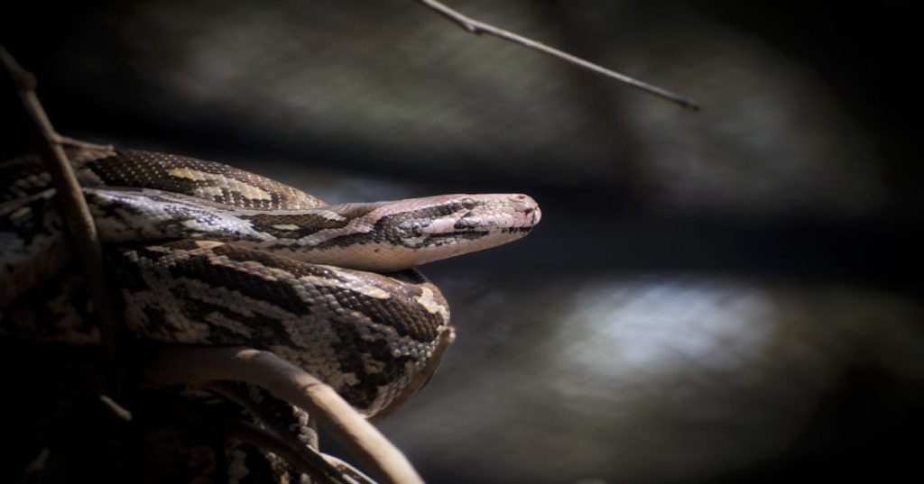 Aprenda a estruturar uma análise diagnóstica de dados em Python para investigar anomalias, isolar variáveis e encontrar causas raízes em datasets ruidosos.