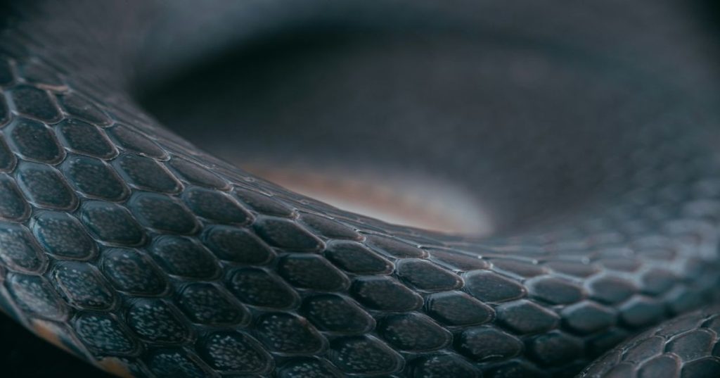 Aprenda como projetar sistemas clientless em Python para gerenciar múltiplas conexões de rede simultâneas com alto desempenho e baixo uso de recursos.