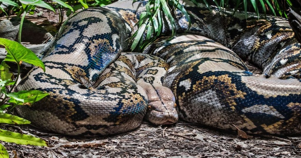 Aprenda a estruturar a arquitetura, integração de dados e automações inteligentes para construir um ERP corporativo completo em Python.