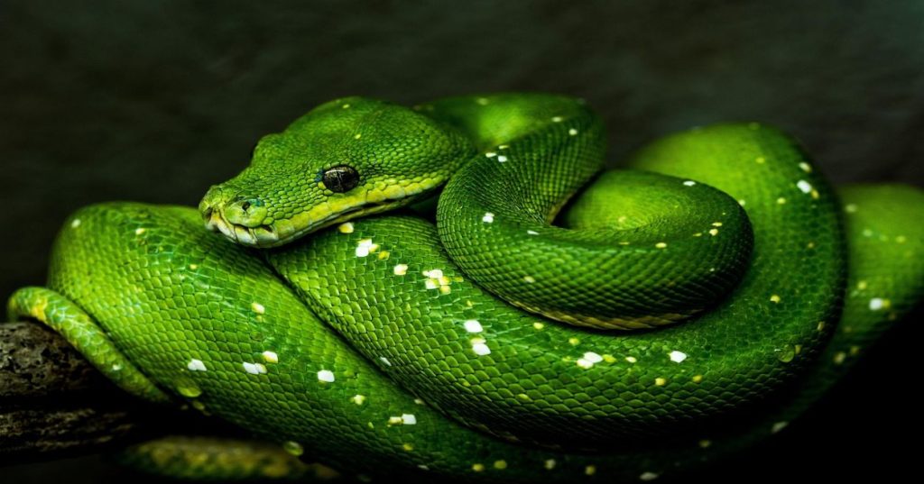 Aprenda a construir um pipeline automatizado em Python para extrair, unificar e analisar dados de múltiplos canais de e-commerce com consistência técnica.