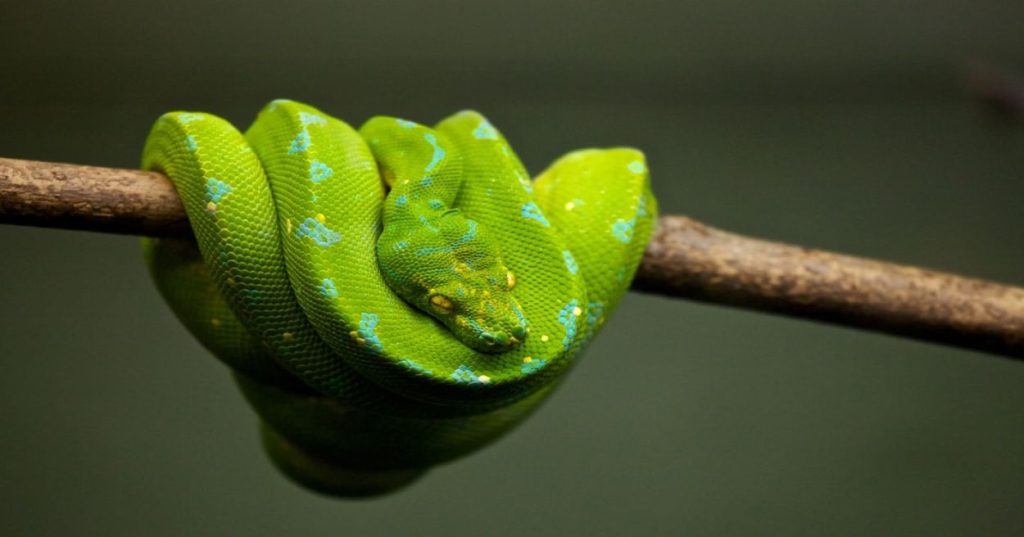 Aprenda a aplicar hardening e automação com Python na AWS para garantir que sua infraestrutura escale com segurança, resiliência e custo previsível.