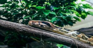 Aprenda a estruturar pipelines de dados no Azure com Python e PySpark. Otimize custos, processe grandes volumes e garanta governança em seus dados.