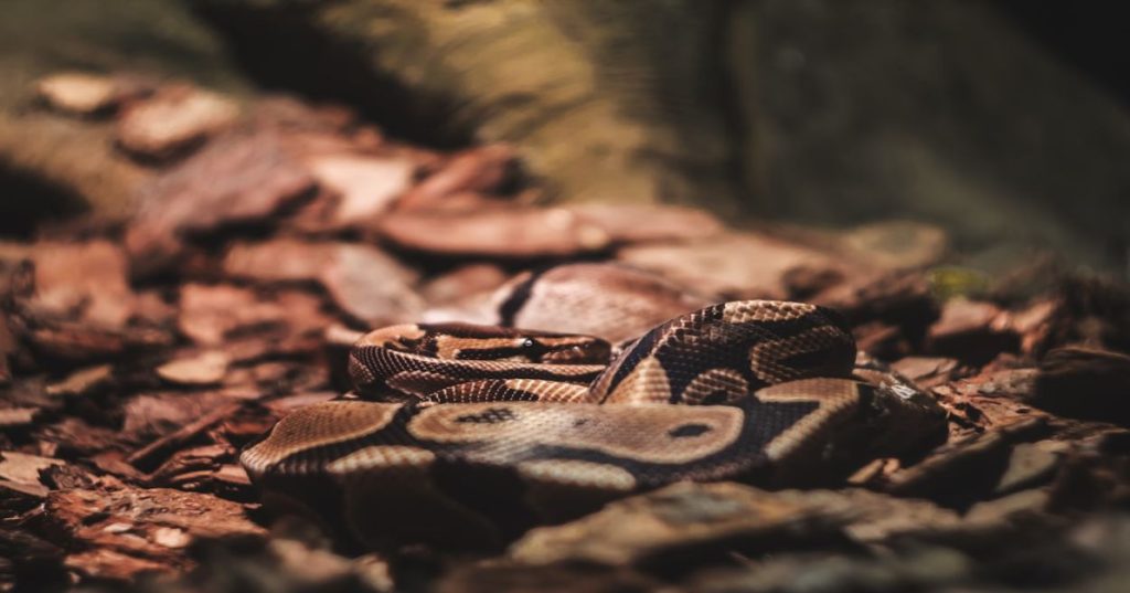 Aprenda a estruturar um pipeline em Python para automatizar a criação de mini-séries com IA, garantindo consistência de personagens, áudio e montagem.