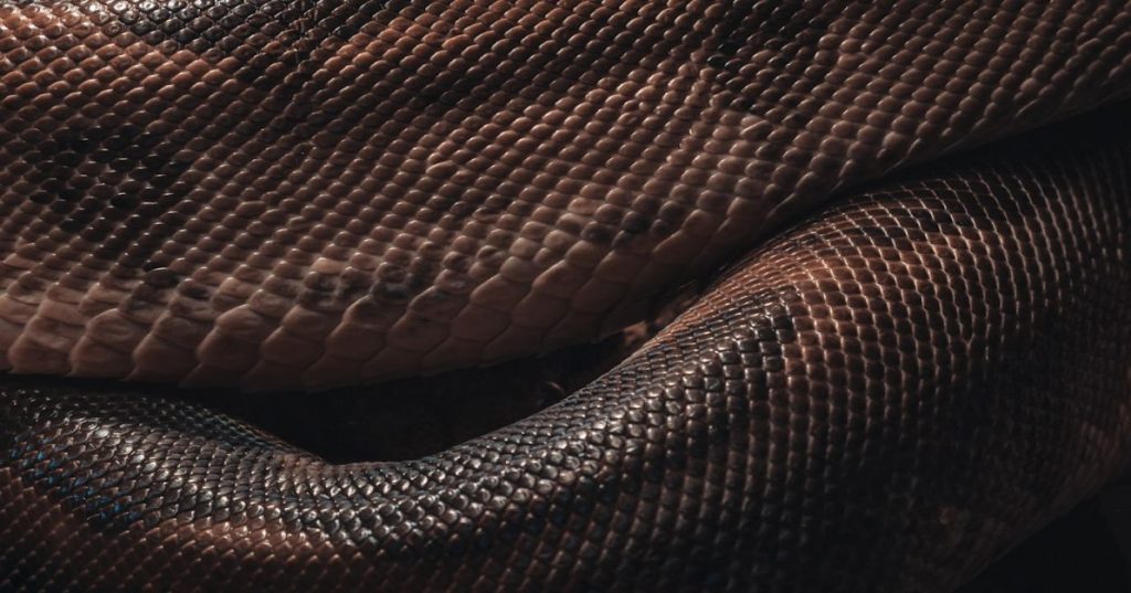 Aprenda a implementar um bot em Python com Playwright, gerenciamento de autenticação em múltiplas etapas e rotação eficiente de proxies sem bloqueios.