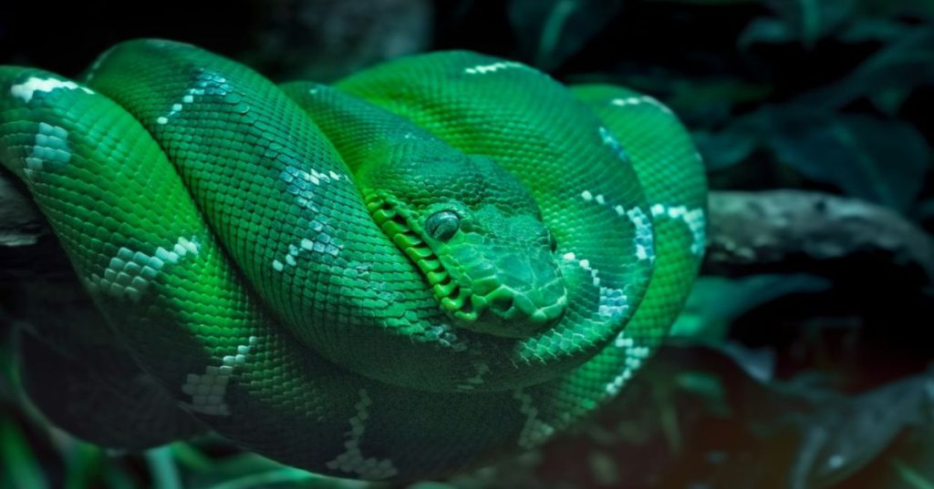 Aprenda a projetar um sistema de gestão escolar 100% offline em Python, garantindo integridade de dados, performance local e automação de relatórios.