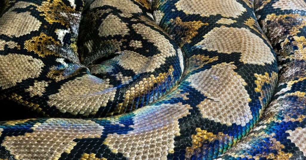 Aprenda a estruturar um bot de automação com IA em Python com arquitetura modular, garantindo escalabilidade, desacoplamento e tolerância a falhas.