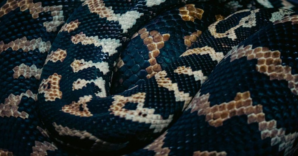 Aprenda a construir um pipeline em Python para processar lotes de PDFs multipáginas e exportar dados limpos e estruturados diretamente para o Excel.