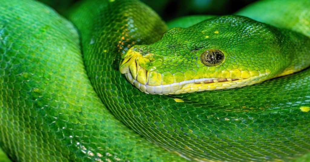 Aprenda a estruturar um pipeline em Python para limpar, padronizar e converter dados mistos de texto e números em arquivos CSV e Excel de forma automatizada.