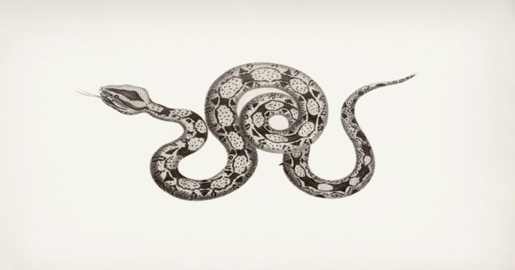 Aprenda a arquitetar uma aplicação web em tempo real combinando Python assíncrono e Vue.js, garantindo baixa latência, alta concorrência e escalabilidade.