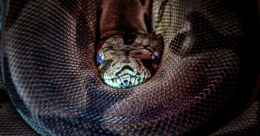 Descubra como estruturar o desenvolvimento contínuo de inteligência artificial em Python com automação, monitoramento e pipelines mensais de alta performance.