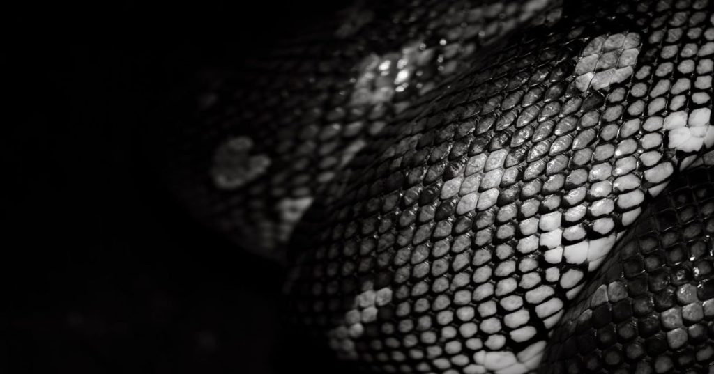 Aprenda a estruturar um pipeline de machine learning python robusto, eliminando data leakage e aplicando validação cruzada com padrão profissional.