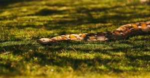 Aprenda a construir um pipeline resiliente de scraping de e-commerce para AWS S3 com Python, streams assíncronos e orquestração diária em larga escala.