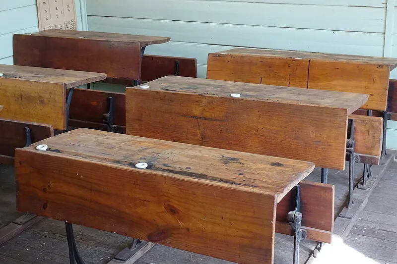 Agente de IA para Institutos de Capacitação Profissional e Inclusão Produtiva