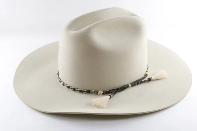 Agente de IA para Organizadores de Rodeios e Exposições Agropecuárias