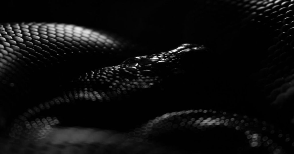 Aprenda a estruturar um ERP moderno unindo Svelte 5, TypeScript e automação de infraestrutura com Python para alto desempenho e escalabilidade.