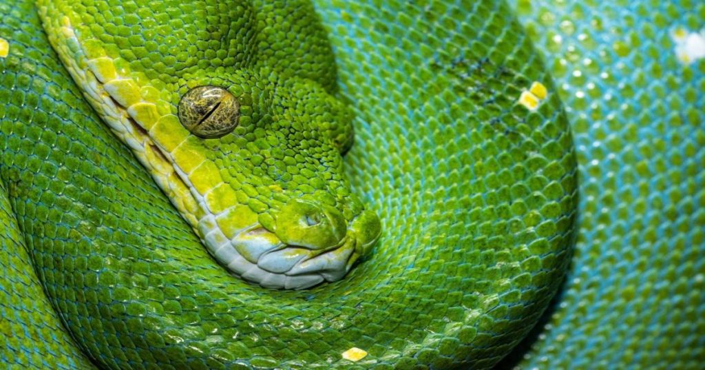 Aprenda a estruturar e automatizar o ArcGIS Enterprise para projetos públicos e corporativos com Python, ArcPy e melhores práticas de governança.