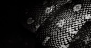 Aprenda a analisar dados de pesquisas de mercado com Python para identificar seu público-alvo ideal usando técnicas avançadas de segmentação e clusterização.