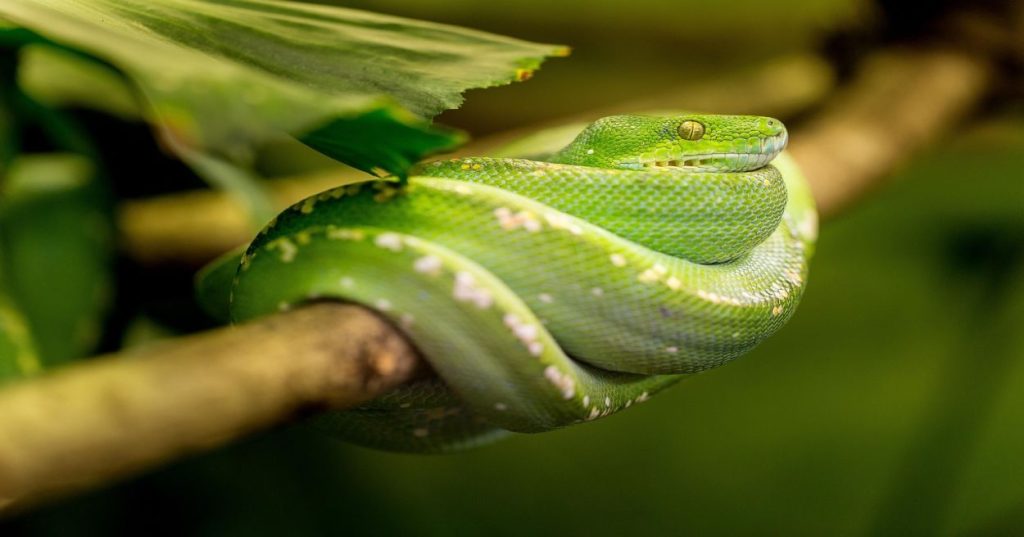Aprenda a aplicar estatística avançada, modelos de regressão e técnicas de otimização em Python para acelerar análises quantitativas de alta performance.