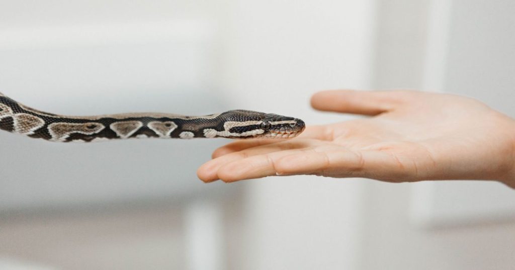 Aprenda a modelar e otimizar usinas hidrelétricas reversíveis (PHES) com Python. Tutorial técnico de despacho ótimo para estabilização de redes elétricas.