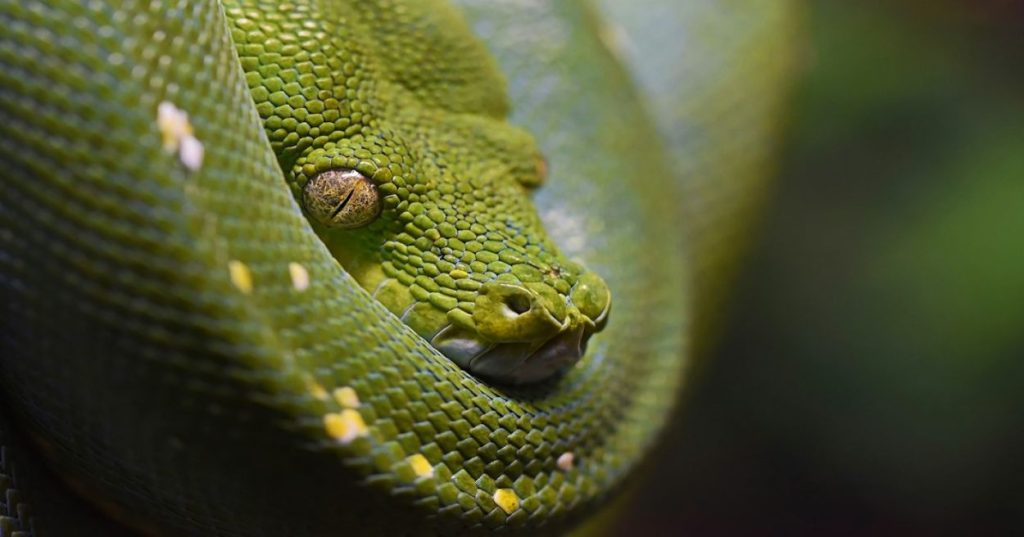 Aprenda a diagnosticar e resolver gargalos de latência e consumo de recursos em sistemas de Machine Learning em Python já em operação.