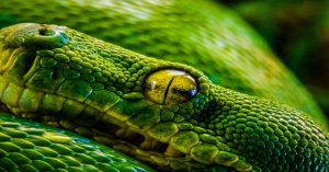 Aprenda a arquitetar um e-commerce com inteligência artificial em Python. Veja como aplicar busca semântica e embeddings para impulsionar conversões.
